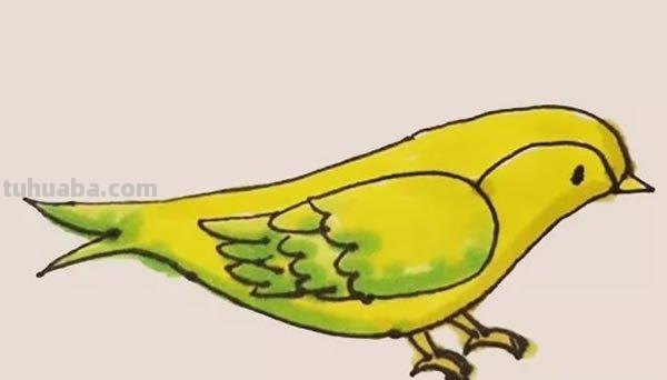 黄莺的简笔画怎么画 如何画小鸟的简笔画？