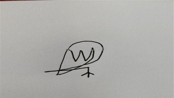 黄莺的简笔画怎么画 如何画小鸟的简笔画？