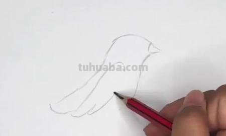 黄莺的简笔画怎么画 如何画小鸟的简笔画？