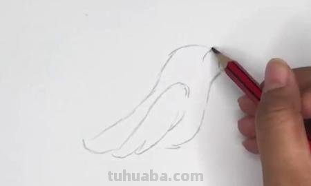 黄莺的简笔画怎么画 如何画小鸟的简笔画？