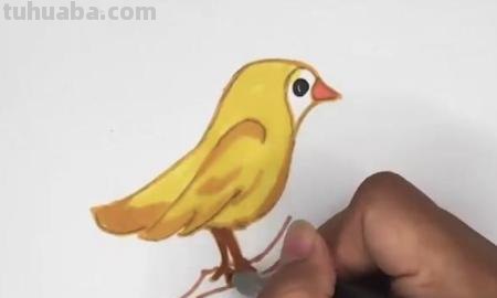 黄莺的简笔画怎么画 如何画小鸟的简笔画？