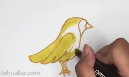 黄莺的简笔画怎么画 如何画小鸟的简笔画？