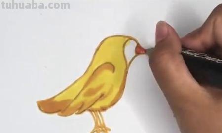 黄莺的简笔画怎么画 如何画小鸟的简笔画？