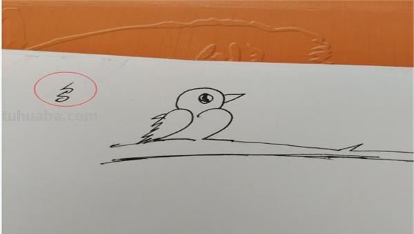 黄莺的简笔画怎么画 如何画小鸟的简笔画？