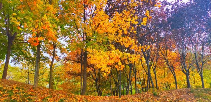 缤纷多彩的秋日景色
