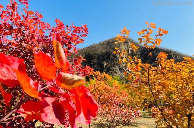 缤纷多彩的秋日景色