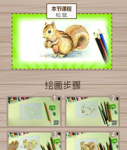 彩铅画蘑菇和松鼠怎么画 蘑菇画画?