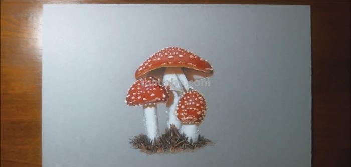 彩铅画蘑菇和松鼠怎么画 蘑菇画画?