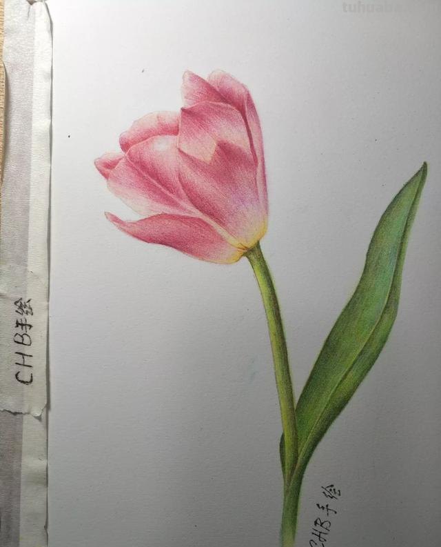 画彩铅画用什么纸新手 画彩铅用什么纸？