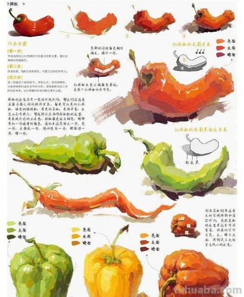 高考色彩教程及高考色彩基础教学视频:让你轻松掌握高考色彩基础