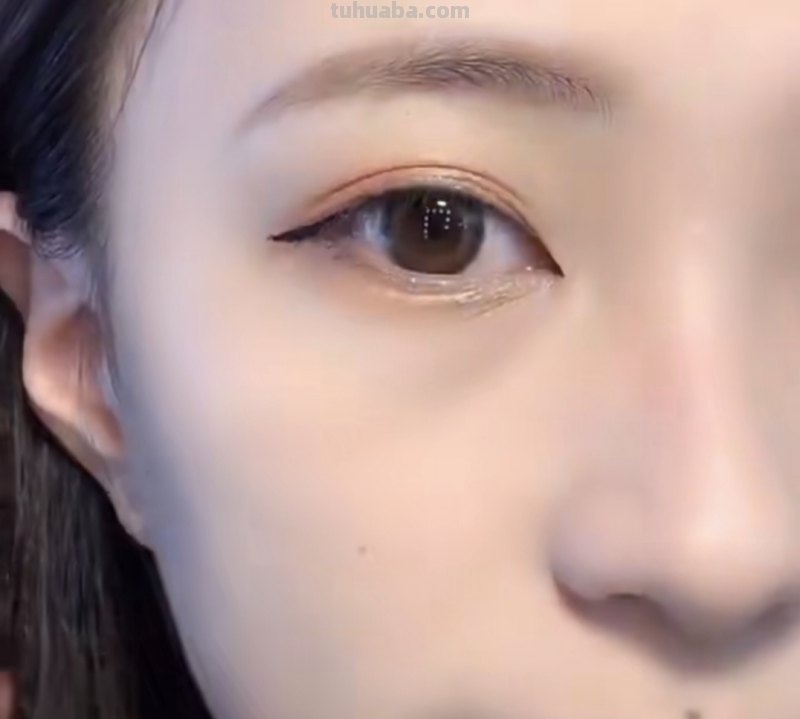 狐狸和猫手抄报怎么画眼线 画眼线教学？