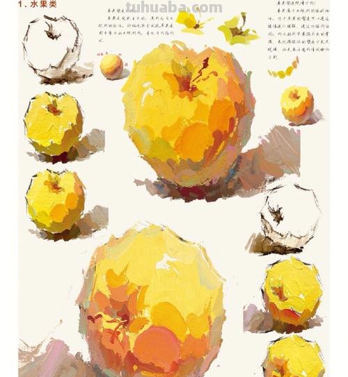 完美教学色彩及完美教学色彩静物——打造生动有趣的绘画教学