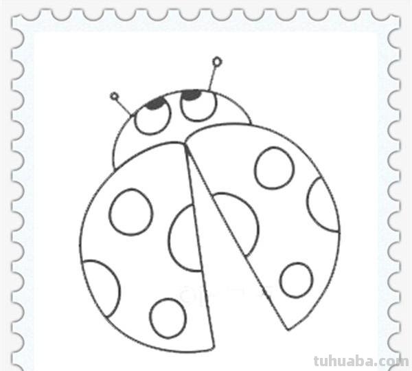 儿童简笔画精选「昆虫」-如何画一只瓢虫（Ladybug）？