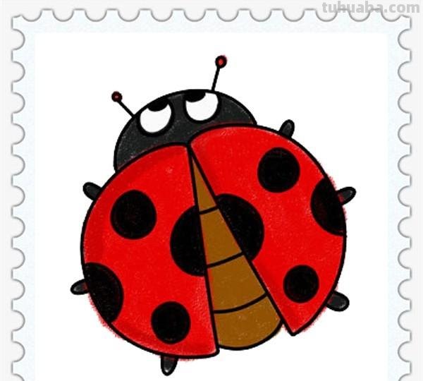儿童简笔画精选「昆虫」-如何画一只瓢虫（Ladybug）？