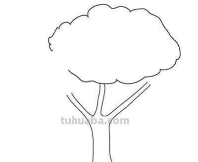 树木怎么画图片简笔画 简笔画好看的大树这样画？