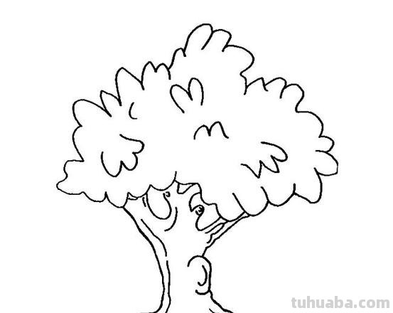 树木怎么画图片简笔画 简笔画好看的大树这样画?