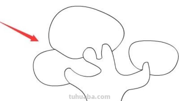 树木怎么画图片简笔画 简笔画好看的大树这样画？