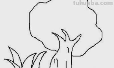 树木怎么画图片简笔画 简笔画好看的大树这样画？