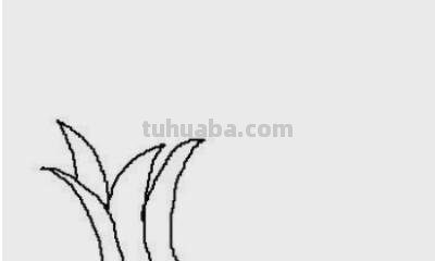 树木怎么画图片简笔画 简笔画好看的大树这样画？