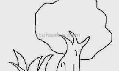 树木怎么画图片简笔画 简笔画好看的大树这样画？