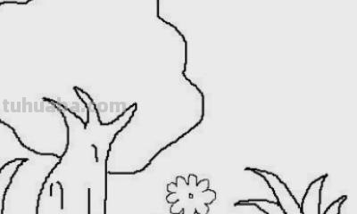 树木怎么画图片简笔画 简笔画好看的大树这样画？