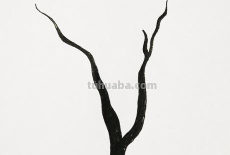 树木怎么画图片简笔画 简笔画好看的大树这样画？