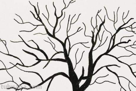 树木怎么画图片简笔画 简笔画好看的大树这样画？