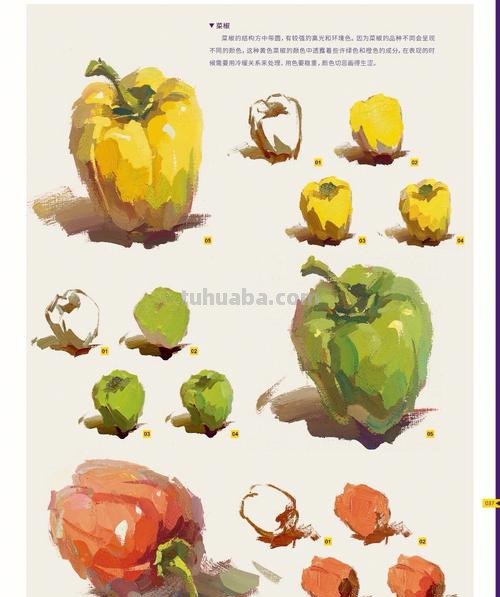 静物色彩教程及静物色彩教程视频：让你的画作更加生动 