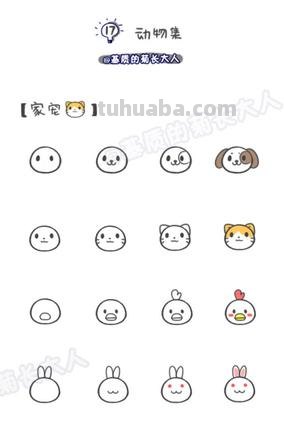 超简单的简笔画｜萌萌小宠 暖心生活从萌物开始