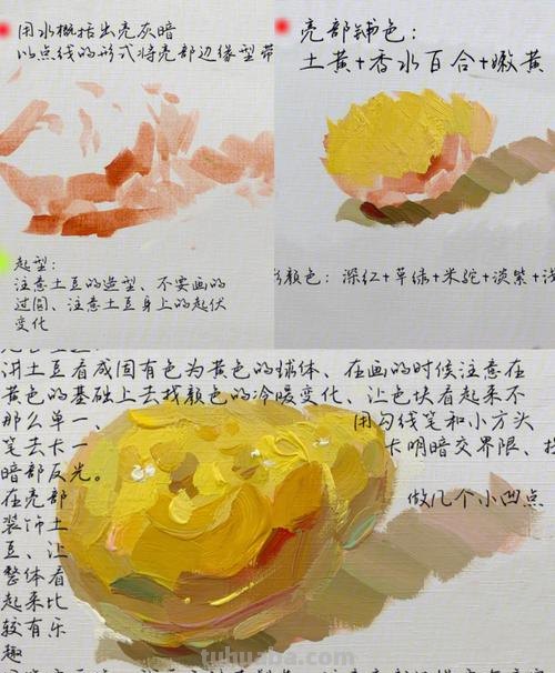 色彩土豆的画法及步骤