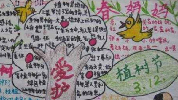 植树节的手抄报怎么画眼线 植树节手抄报怎样画？