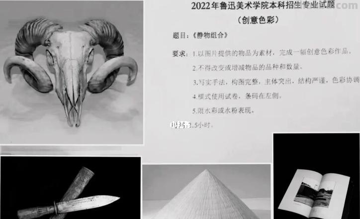 2022年鲁美色彩考题：如何应对？ 