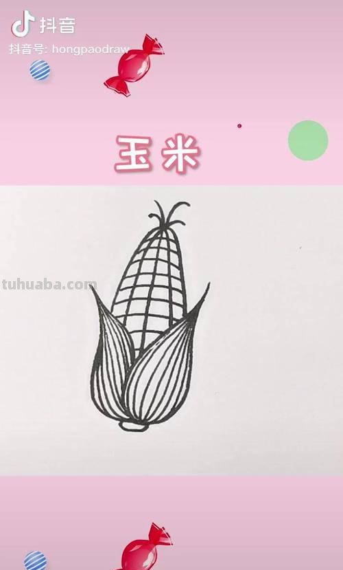 玉米的简笔画怎么画 玉米儿童画？