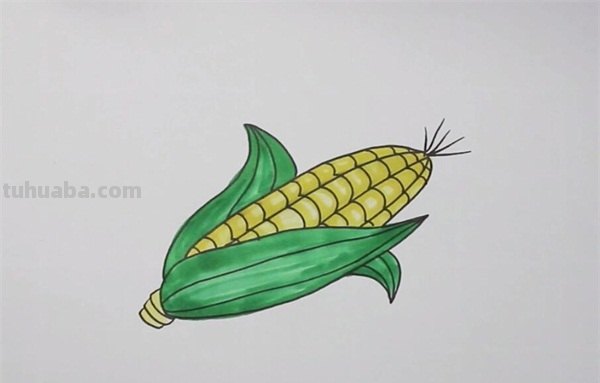 玉米的简笔画怎么画 玉米儿童画？