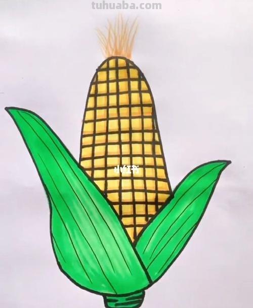 玉米的简笔画怎么画 玉米儿童画？