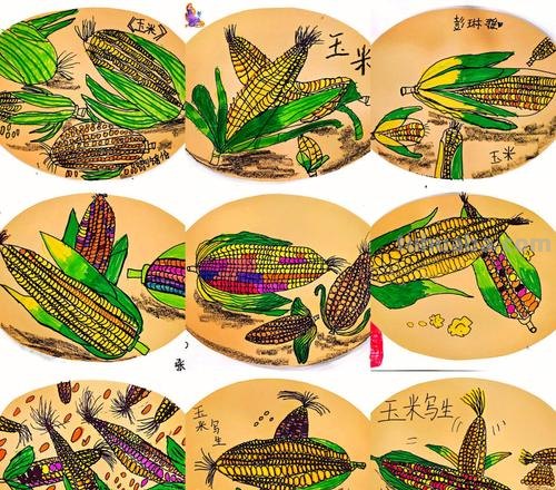 玉米的简笔画怎么画 玉米儿童画？