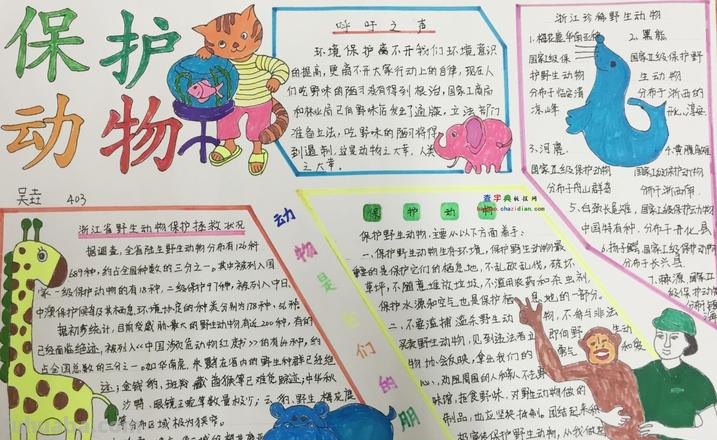的保护动物的手抄报怎么做 10月4日动物保护日手抄报内容?