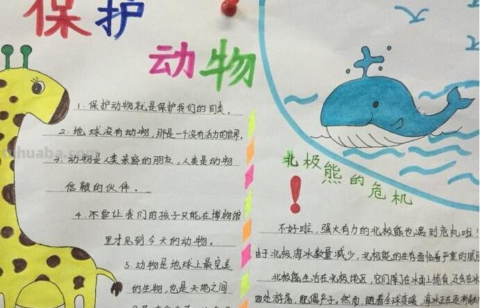 的保护动物的手抄报怎么做 10月4日动物保护日手抄报内容?