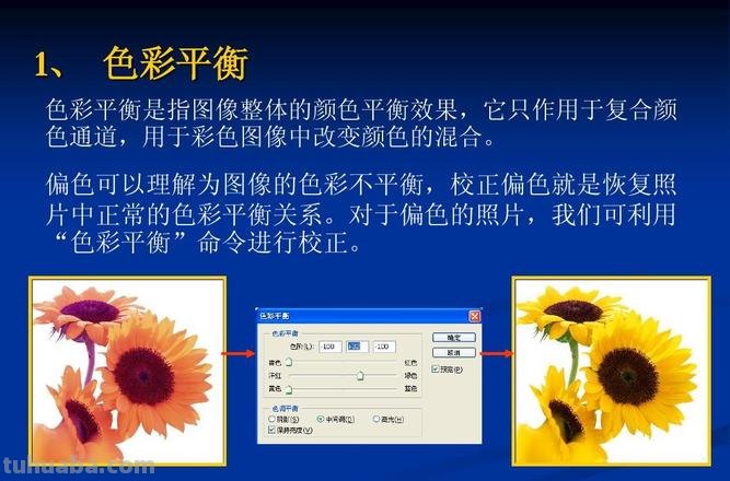 色彩均衡的要素是什么?