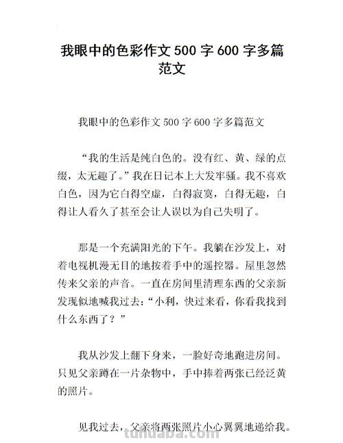 记忆中的色彩作文