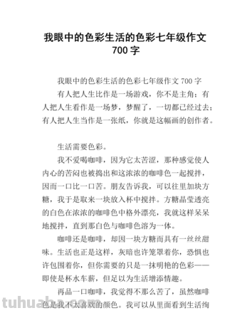 记忆中的色彩作文