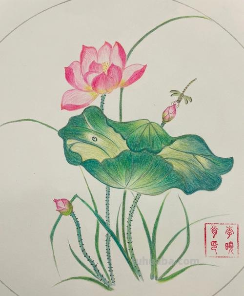 怎么画彩铅画简单小清新 怎样画彩铅画?