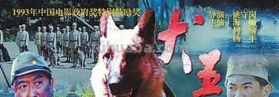 犬王 犬王电影在线观看完整版免费