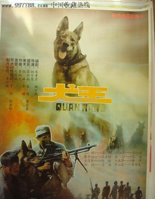 犬王 犬王电影在线观看完整版免费