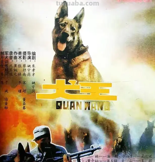 犬王 犬王电影在线观看完整版免费