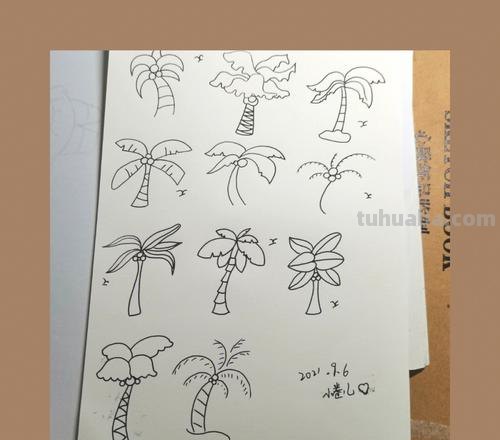 椰树怎么画图片简笔画 简笔画大全？