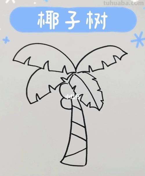 椰树怎么画图片简笔画 简笔画大全？