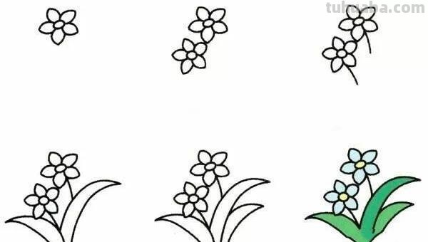 椰树怎么画图片简笔画 简笔画大全？
