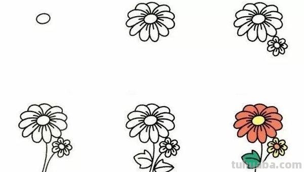 椰树怎么画图片简笔画 简笔画大全？