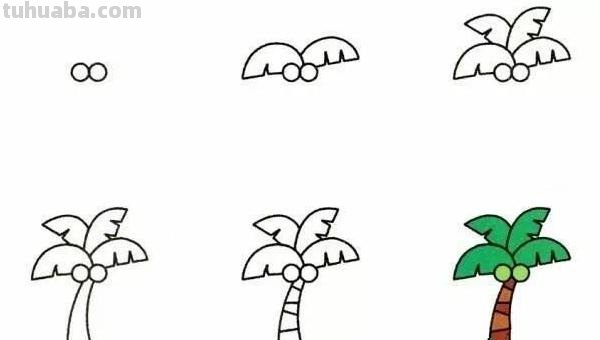 椰树怎么画图片简笔画 简笔画大全？